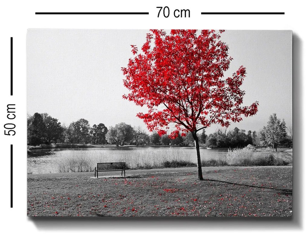 Tela Decorativa Modelo 247248526 – Multicolor – 50 x 70 cm