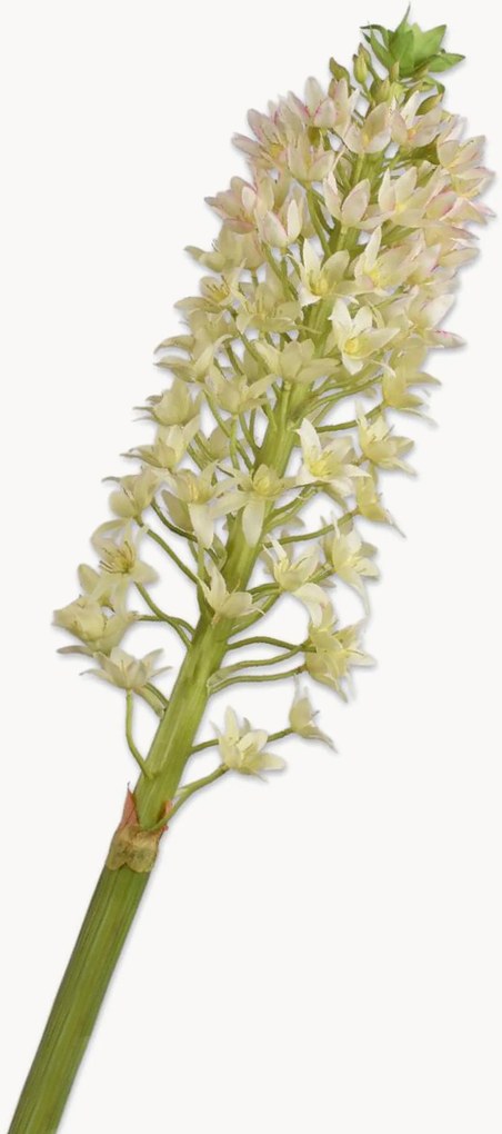 Flores artificiais artesanais Eucomis, conjunto de 2