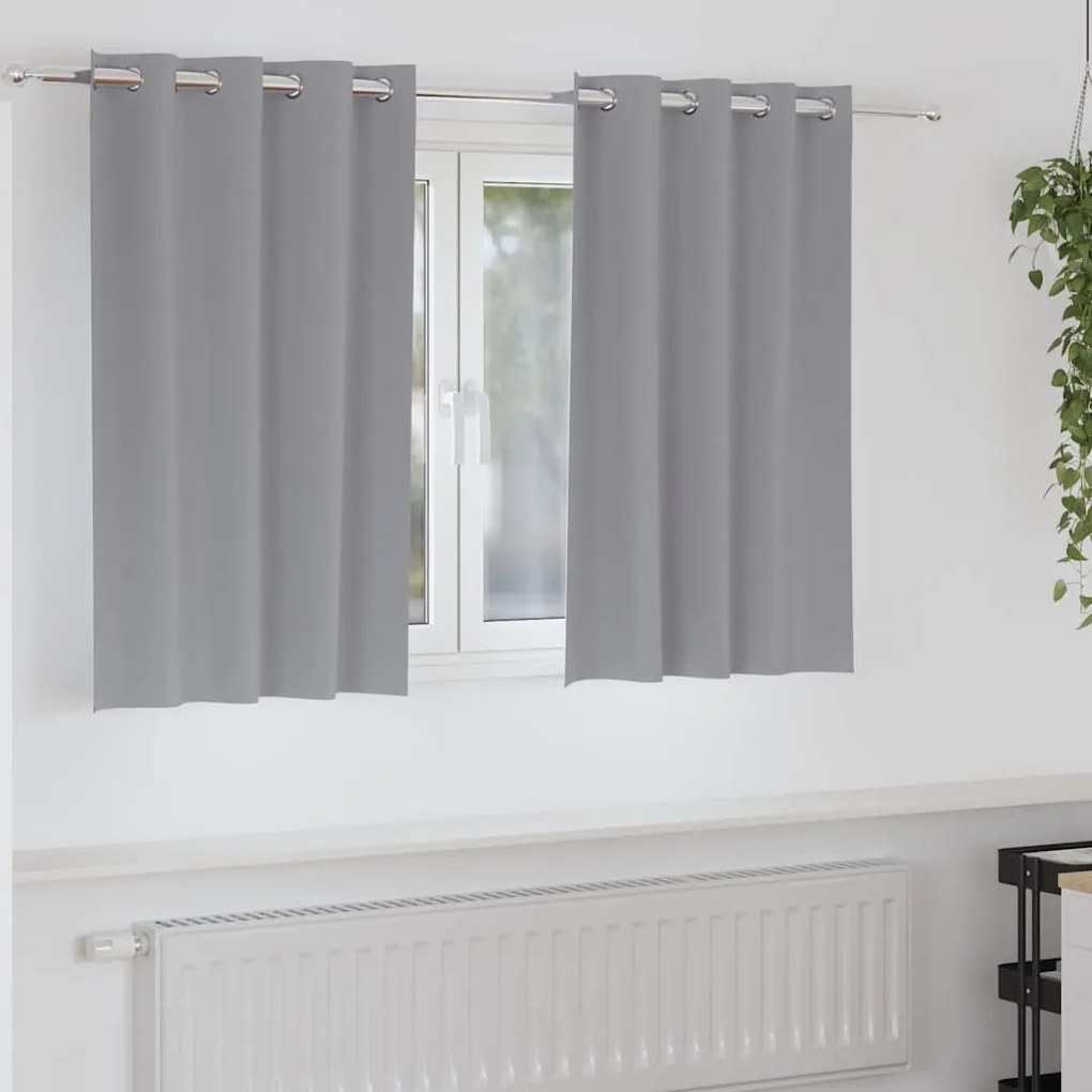 vidaXL Cortinas Blackout com Argolas 2 pcs Cinzento-claro 140 x 140 cm