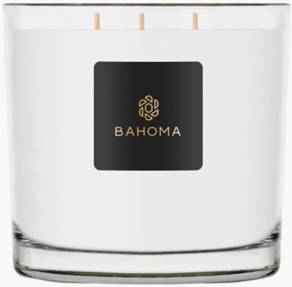 Vela perfumada artesanal com dois pavios Classic (especiarias de laranja)
