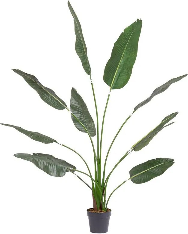 Planta artificial para exterior Strelitzia, Alt 180 cm