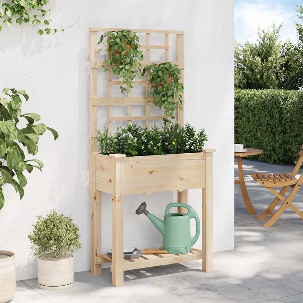 Jardineira vidaXL com Treliça e Prateleira 71x37x152 cm Madeira Sólida