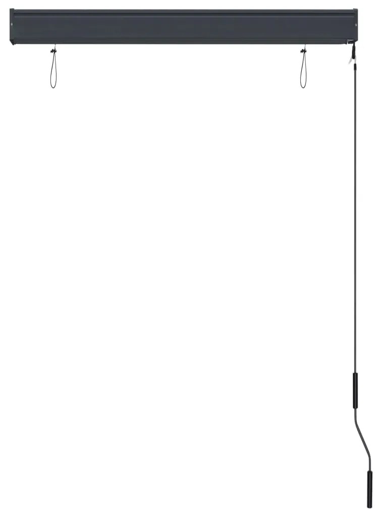 Estore de rolo para exterior 100x250 cm antracite
