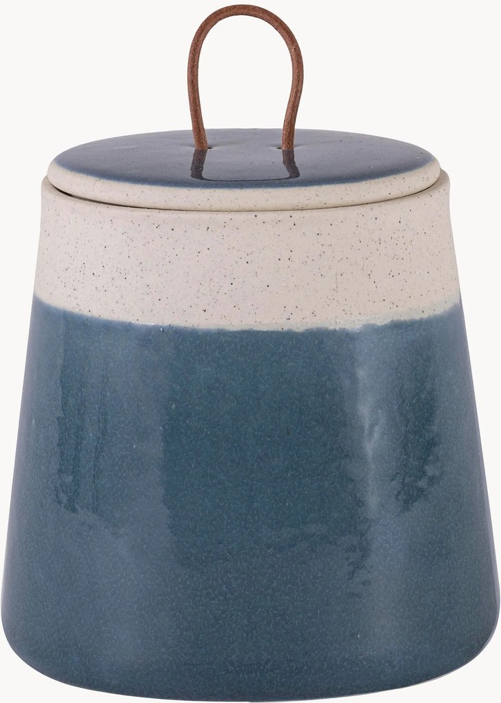 Pote com tampa Aster Delphinium