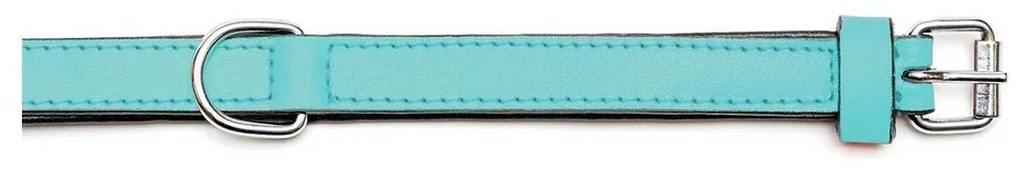 Coleira para Cães Gloria Acolchoado Turquesa (30 x 1,5 cm)