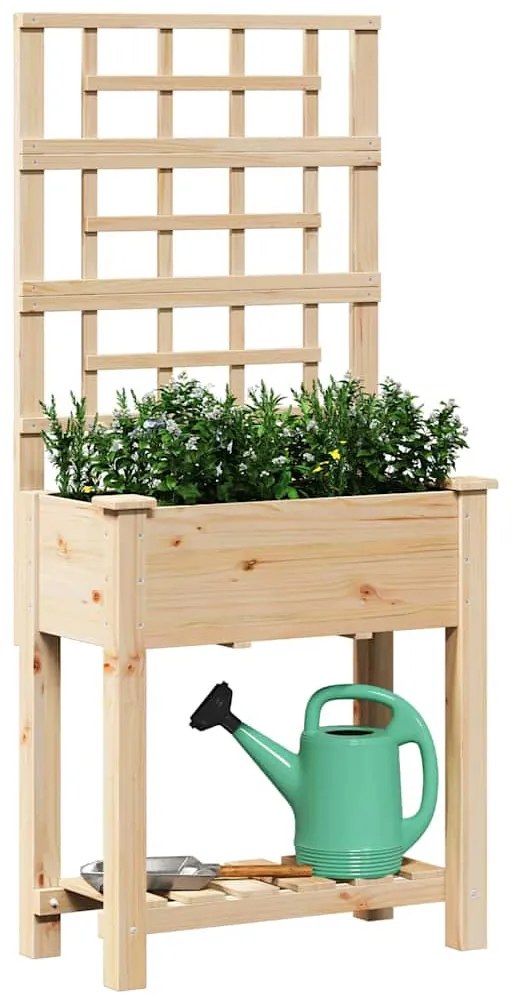 Jardineira vidaXL com Treliça e Prateleira 71x37x152 cm Madeira Sólida