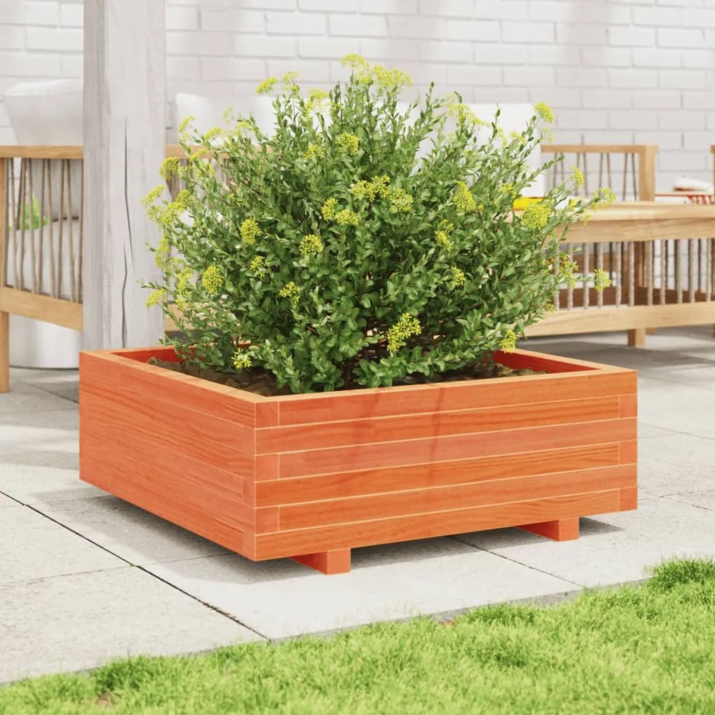 Vaso/floreira de jardim 70x70x26,5 cm pinho maciço castanho-mel