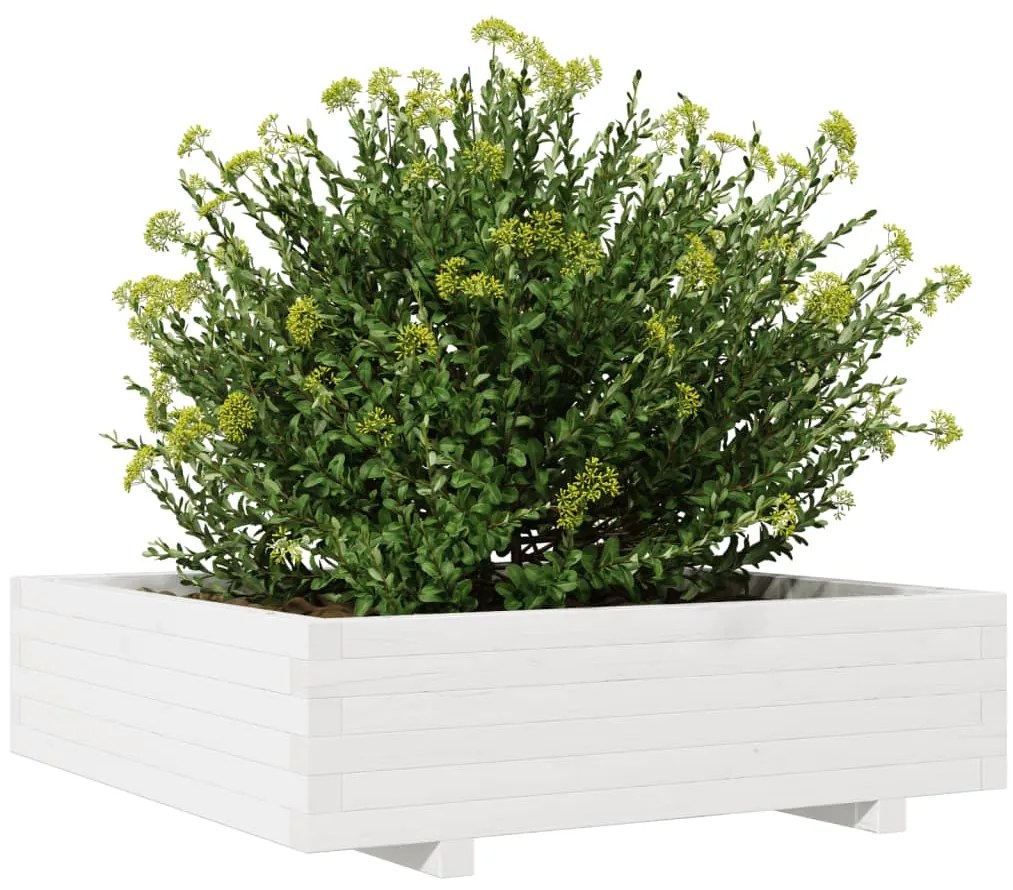 Vaso/floreira de jardim 90x90x26,5 cm pinho maciço branco
