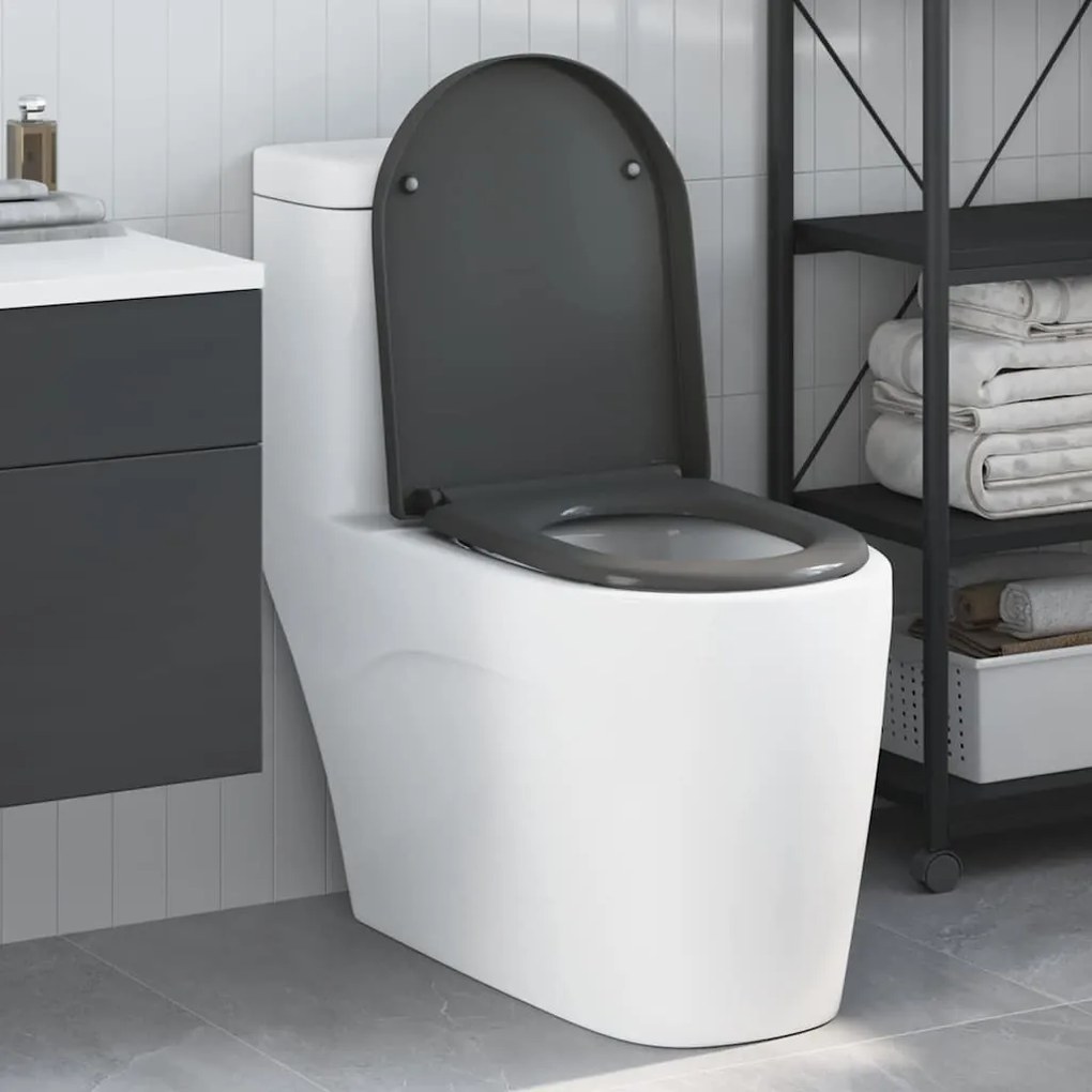 vidaXL Assento de Toilette de Liberação Rápida Antracite