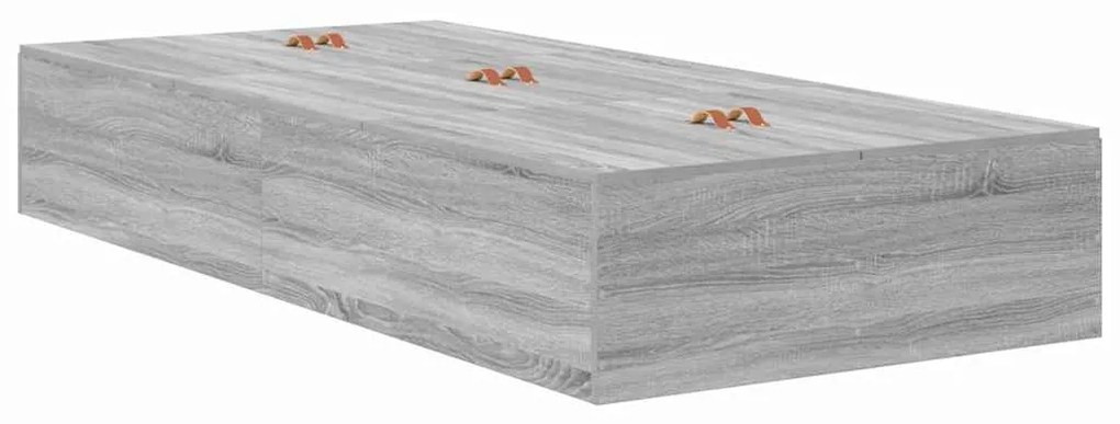 Cama de Armazenamento Cinza Sonoma 100x200 cm