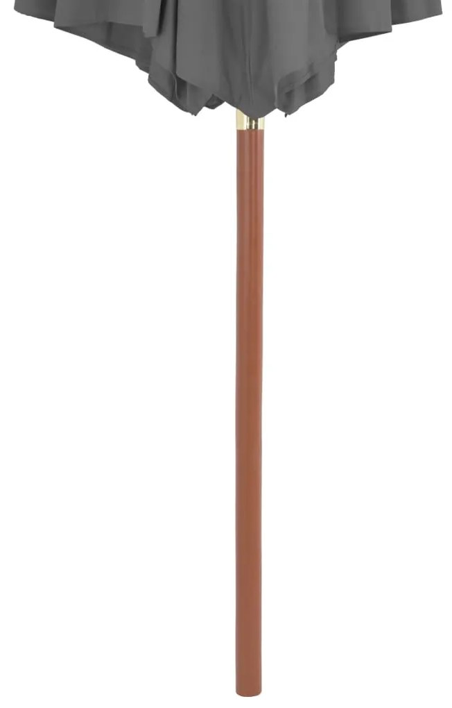 Guarda-sol de exterior com mastro de madeira 300 cm antracite