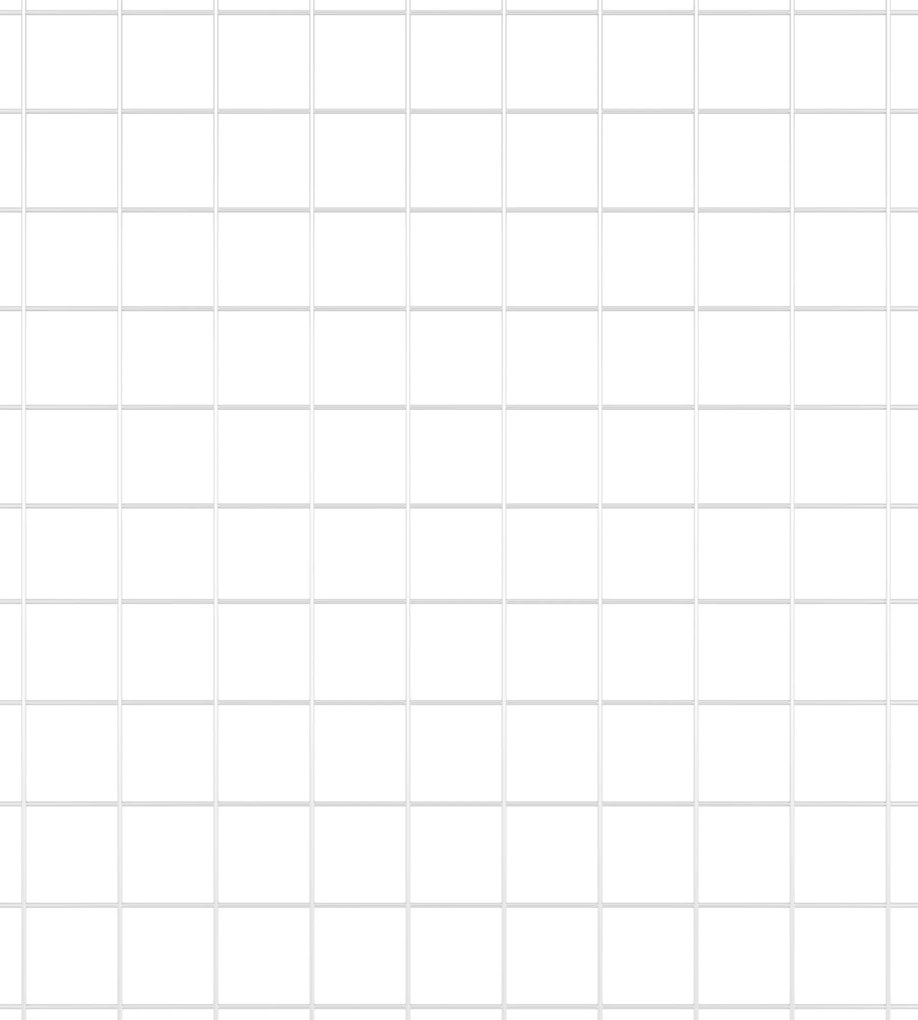 Cerca de Fio Soldado com 13 Postes Spike 1.6x25 m Aço Galvanizado