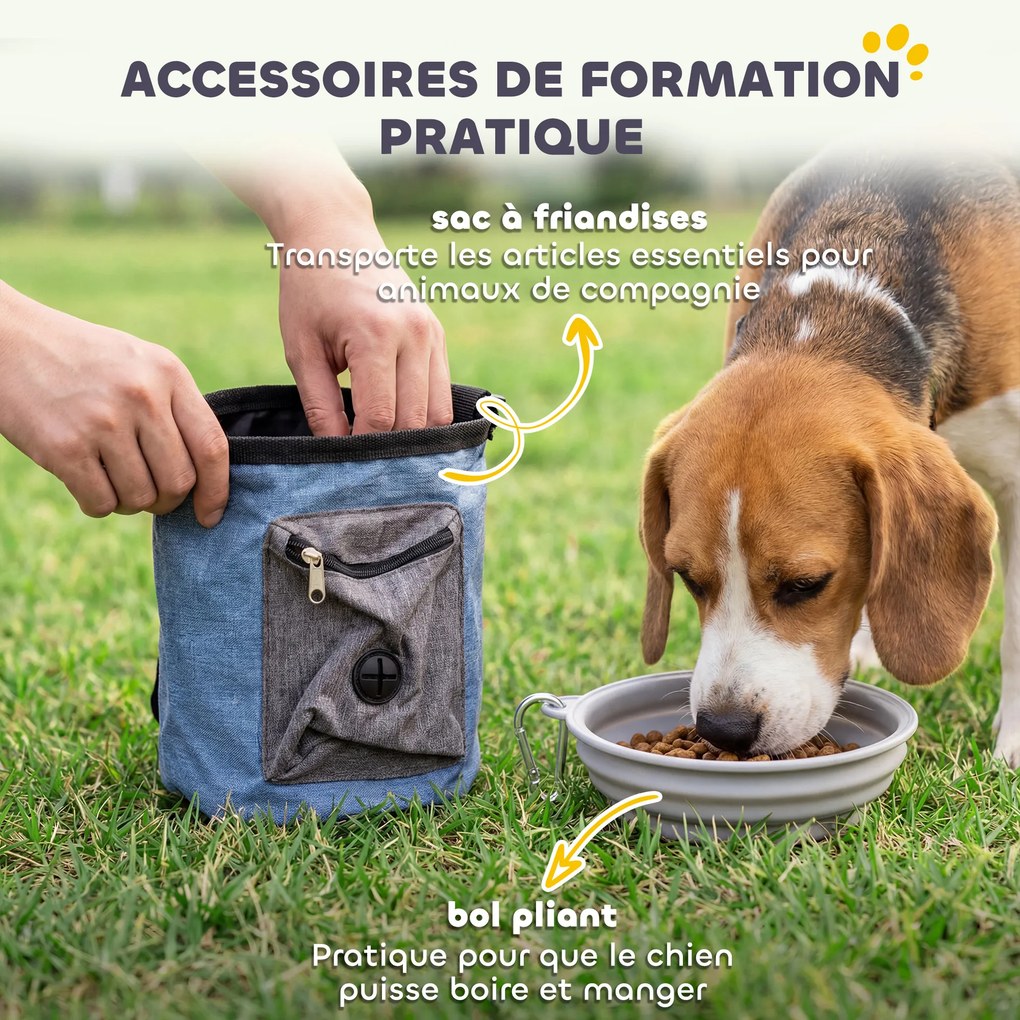 Conjunto de agilidade para cães com 11 peças, percurso de obstáculos com 2 túneis, saltos ajustáveis, laranja e azul