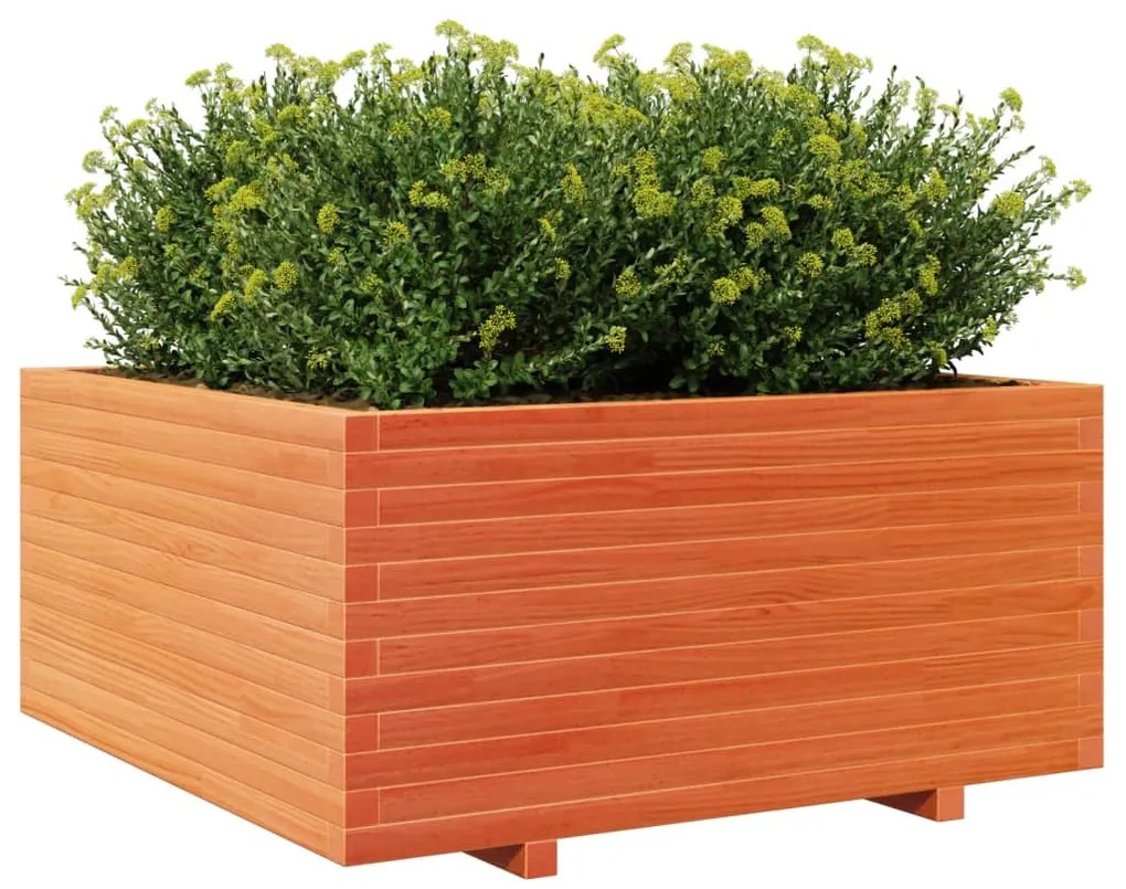 Vaso/floreira jardim 100x100x49,5 cm pinho maciço castanho mel