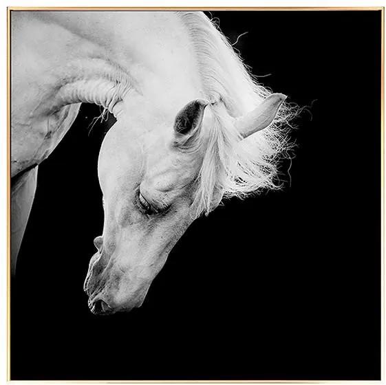 Pintura Horse BW (100 x 2,5 x 100 cm)