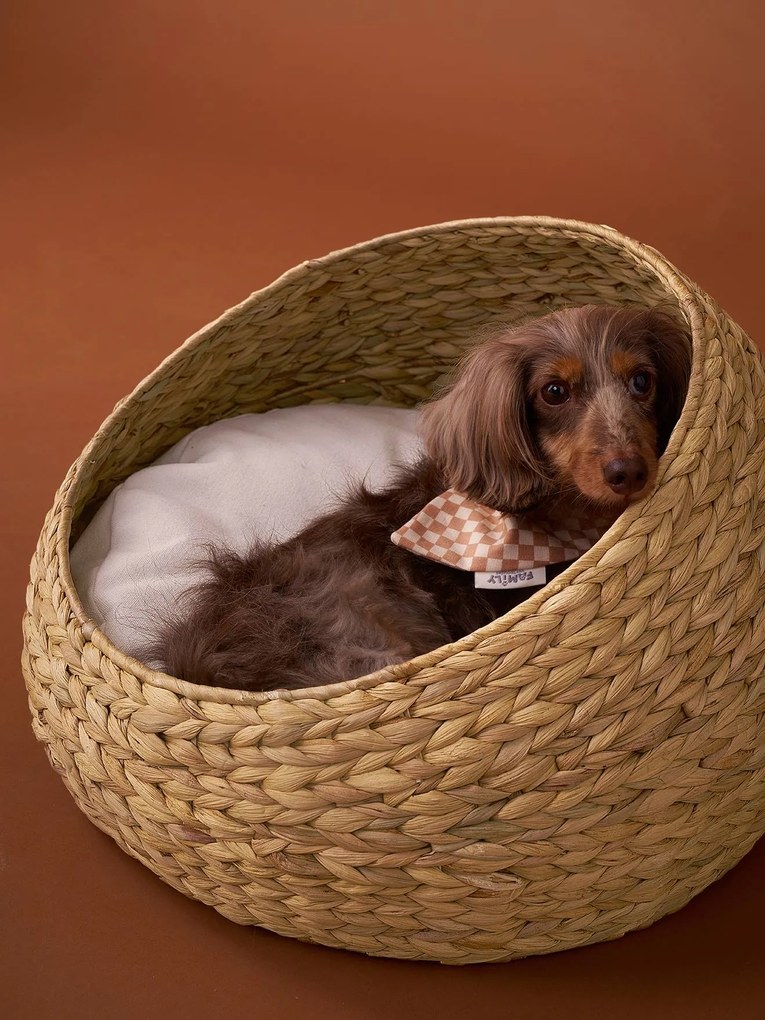 Cesto oval Family, para animal de companhia bege