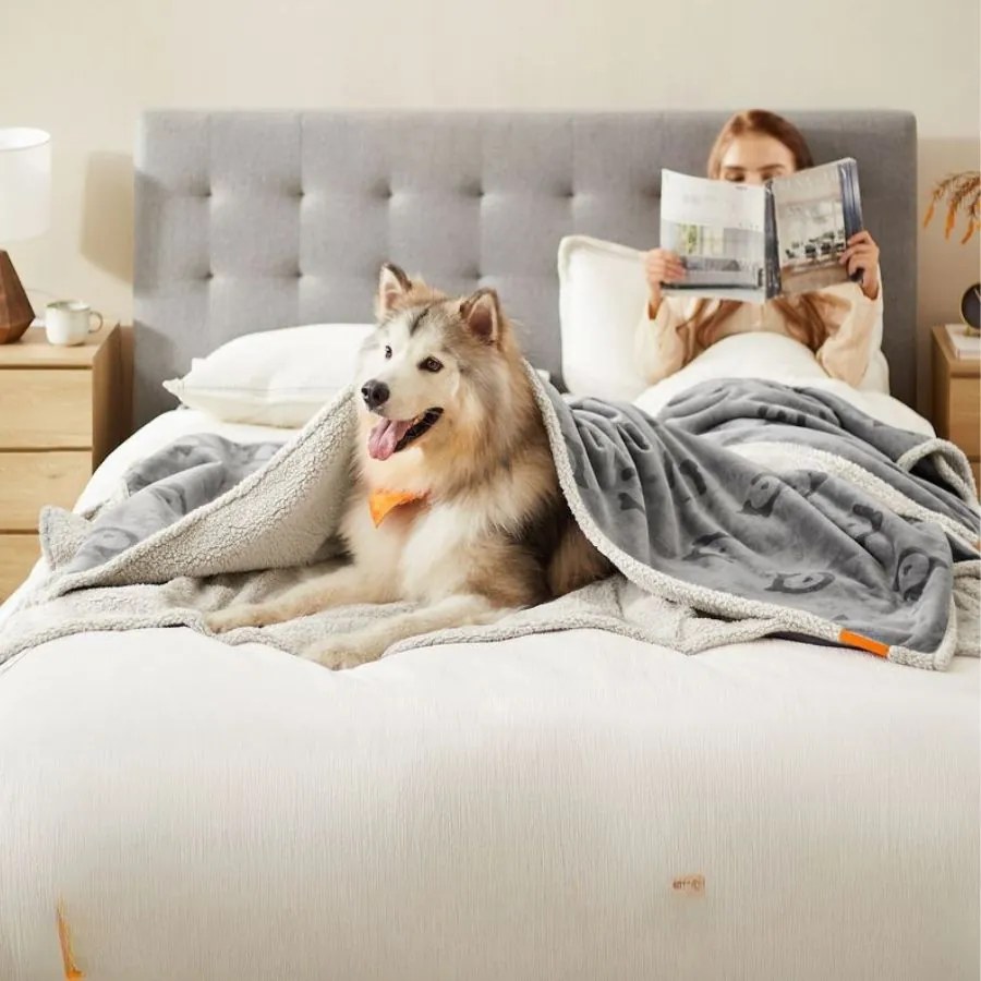 Manta para cães 229 x 203 cm (C x L), adequada para pessoas e cães de tamanho extragrande cinzento