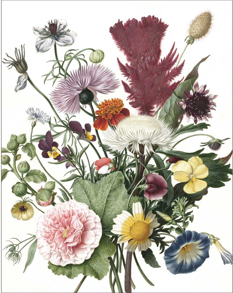 Papel de parede Wallpaper Wild Flowers