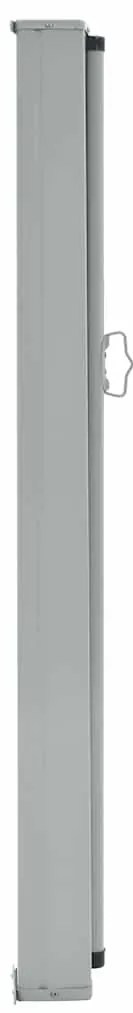 Toldo lateral retrátil para pátio 100x300 cm cinzento