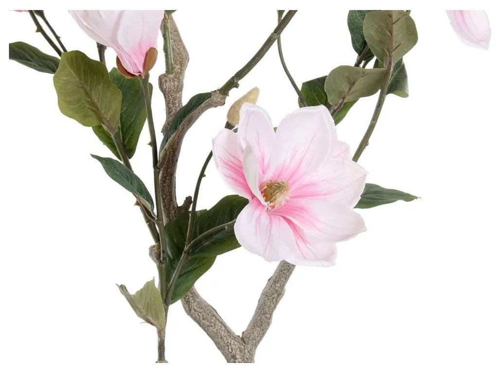 Planta Decorativa DKD Home Decor Magnolia Polietileno Dolomite (40 x 40 x 125 cm)