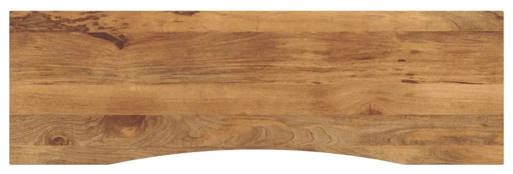vidaXL Tampo de mesa com curva 160x50x2,5 cm mangueira áspera maciça