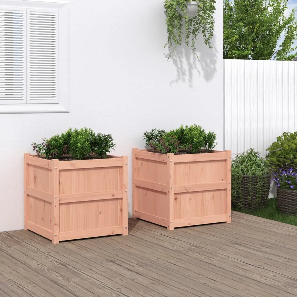 vidaXL Vasos/floreiras de jardim 2 pcs madeira de douglas maciça