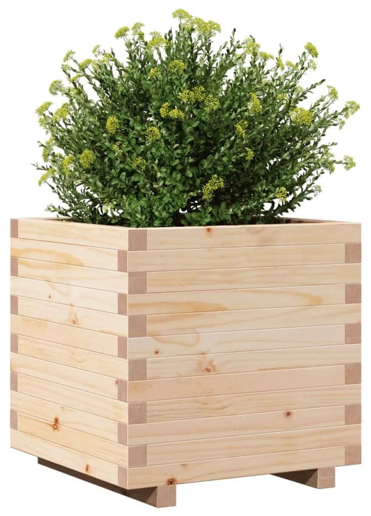 Vaso/floreira de jardim 50x50x49,5 cm madeira de pinho maciça
