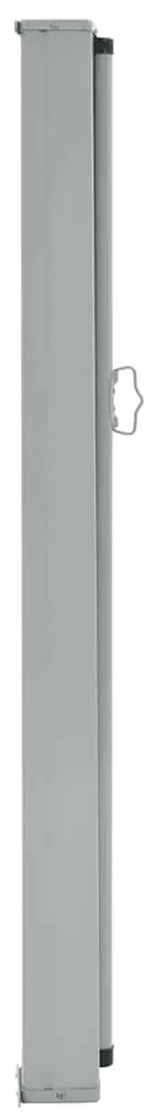 Toldo lateral retrátil para pátio 120x300 cm preto