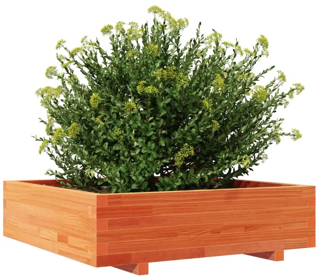 Vaso/floreira de jardim 90x90x26,5 cm pinho maciço castanho-mel