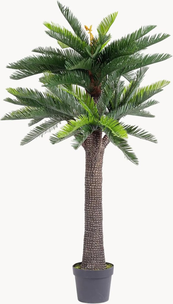 Planta artificial para exterior Palma Cycas, Alt 190 cm