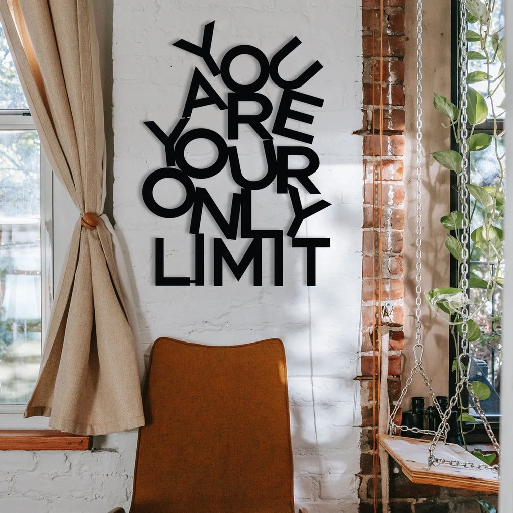 Acessório Decorativo de Parede Limit – Preto – 37 x 52 cm