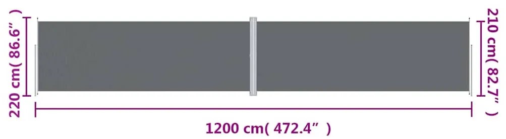 Toldo lateral retrátil 220x1200 cm antracite