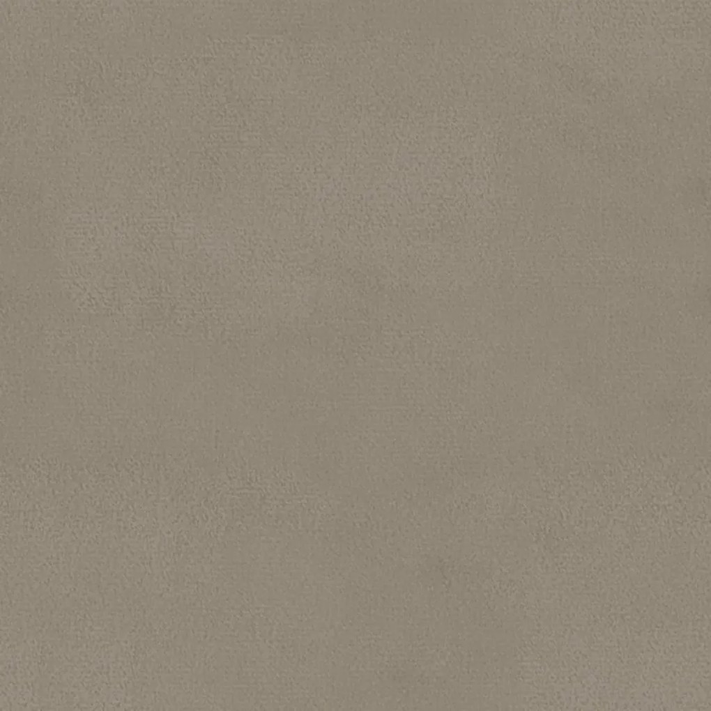 Cadeiras de jantar 2 pcs veludo cinzento-claro