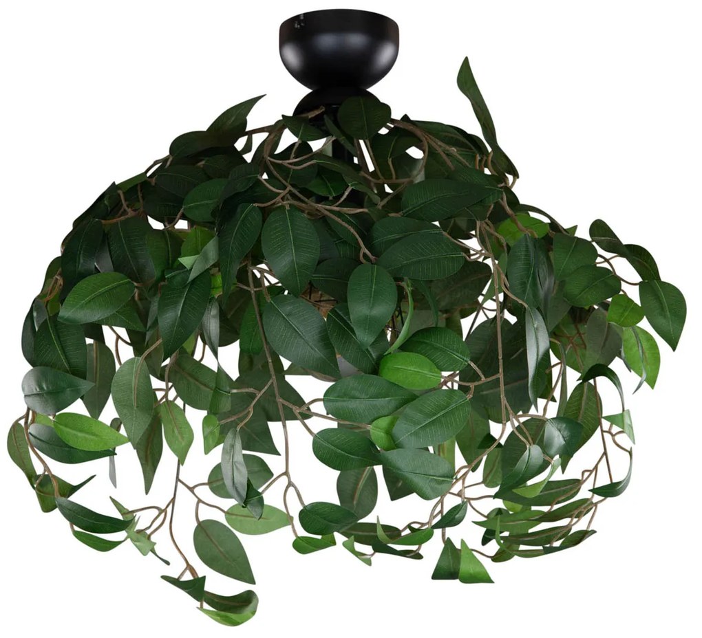 Plafond Boémio Verde - Leavy