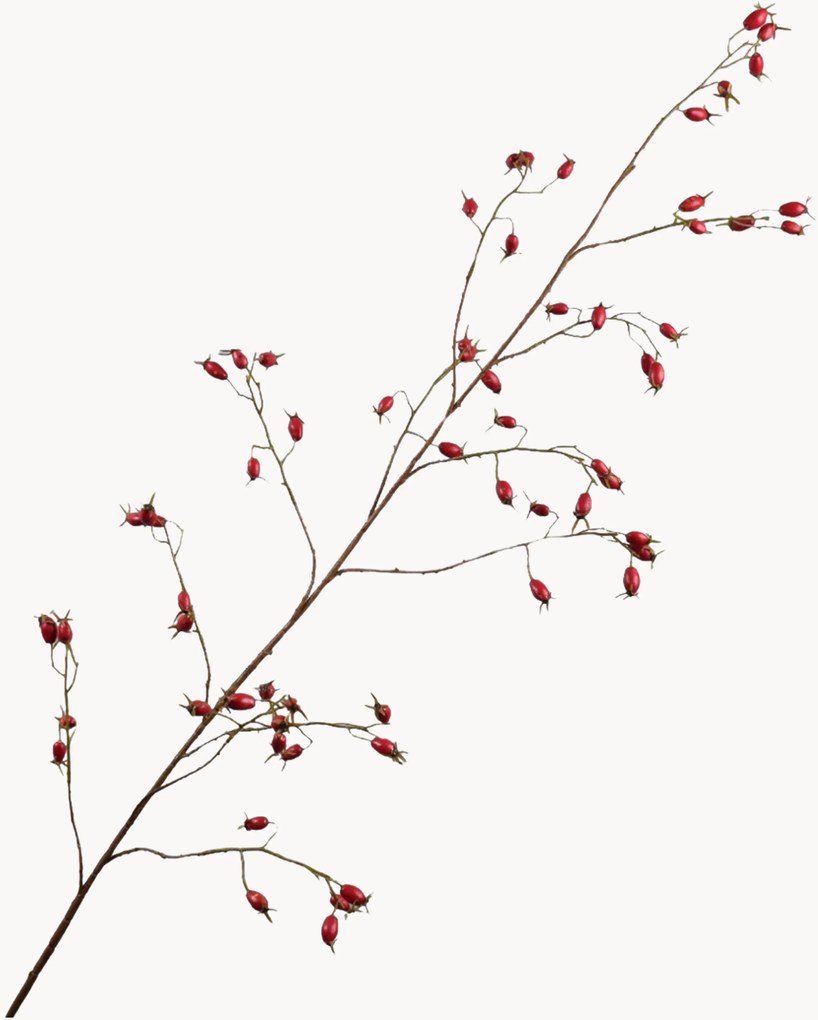 Ramos artificiais artesanais Rosehip, conjunto de 2