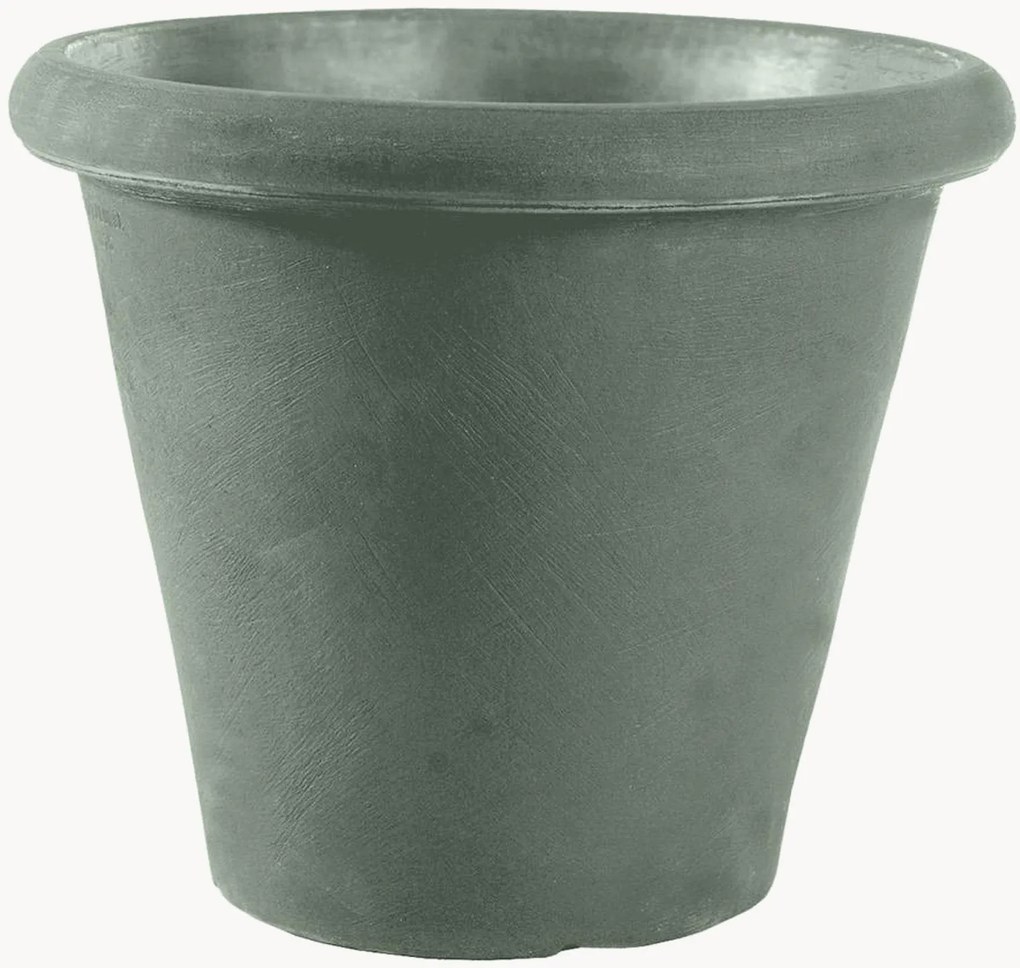 Vaso Camelia