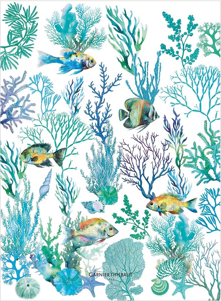 Panos de cozinha Naia Blanc, conjunto de 4