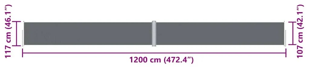 Toldo lateral retrátil 117x1200 cm antracite