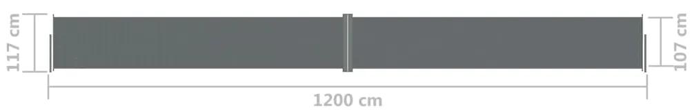 Toldo lateral retrátil 117x1200 cm antracite
