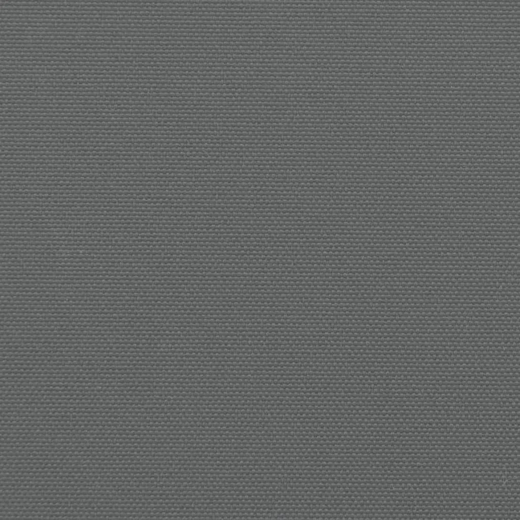 Toldo lateral retrátil 180x1000 cm antracite