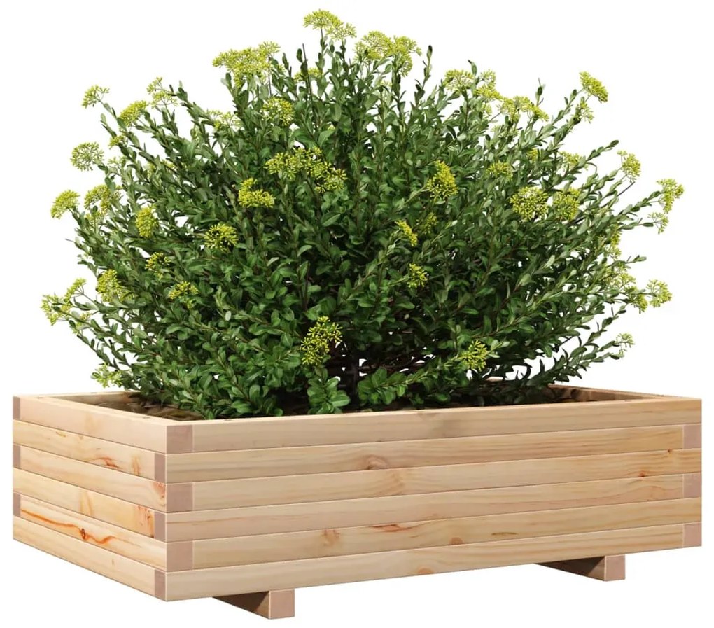 Vaso/floreira de jardim 90x60x26,5 cm madeira de pinho maciça