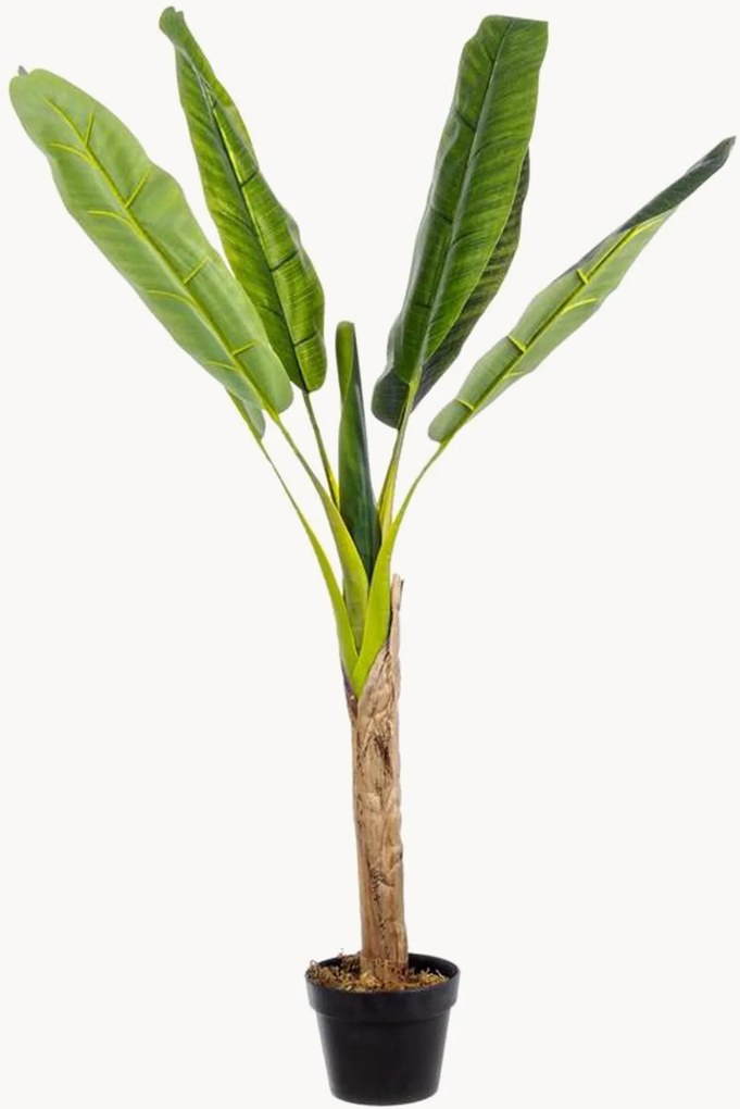 Plantas artificiais Banano, conjunto de 2