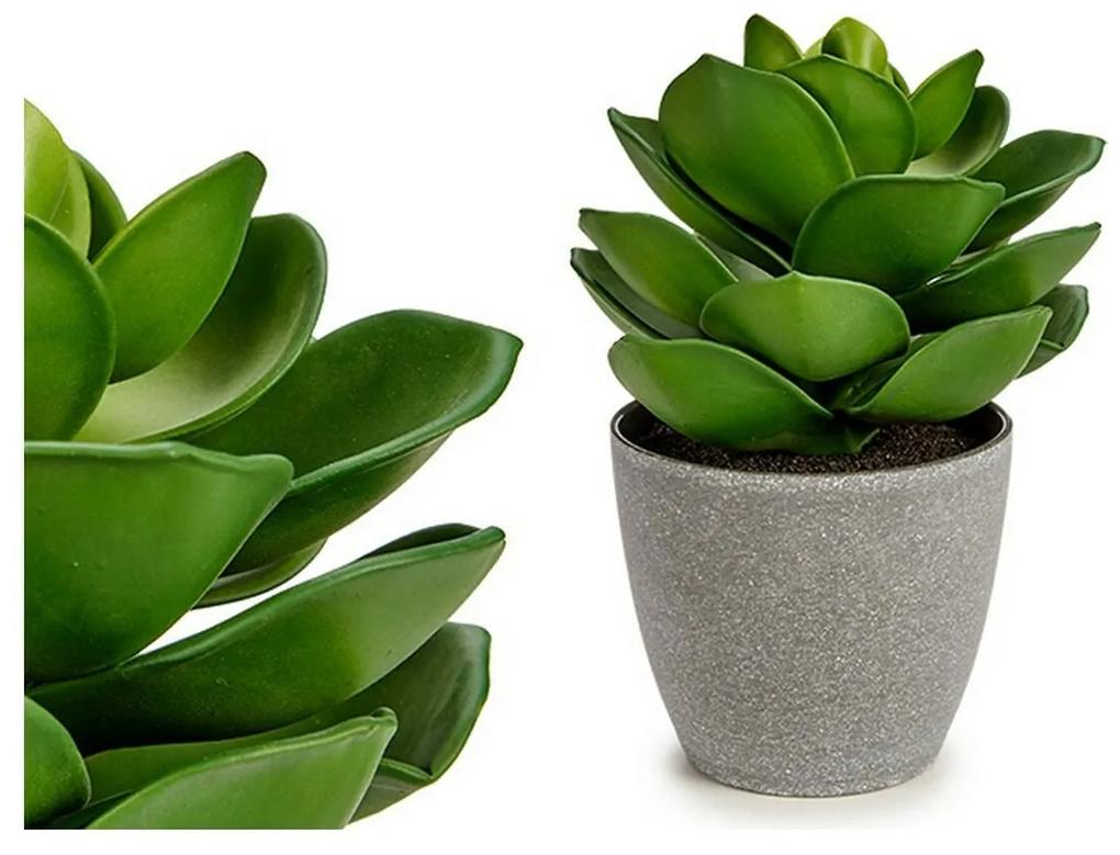 Planta Decorativa Cinzento Verde Plástico (16 x 20 x 16 cm)