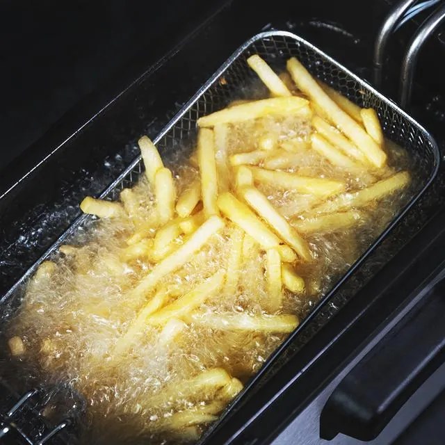 Fritadeira de óleo de 3 litros Cleanfry Infinity 3000 ProFilter