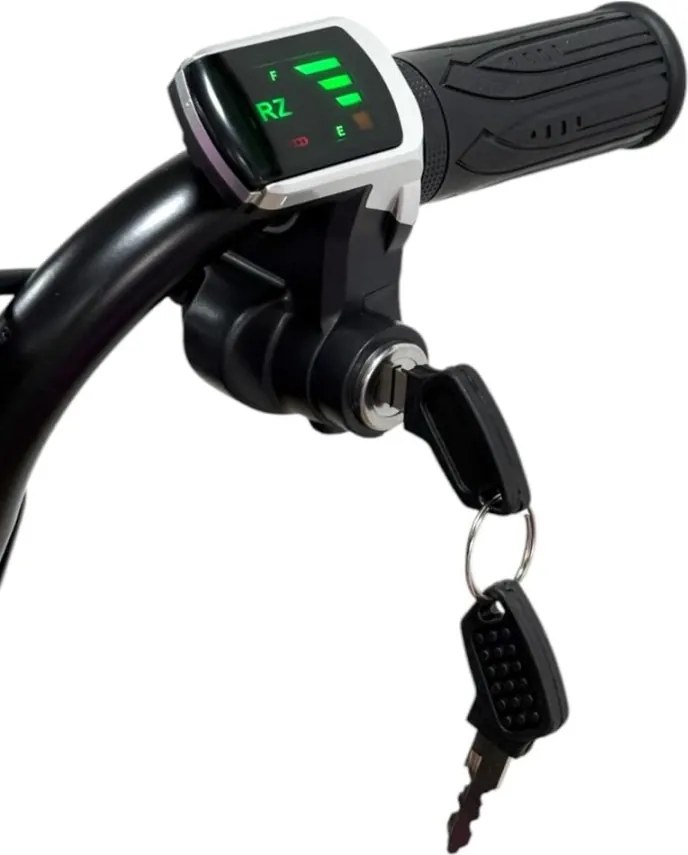 Triciclo eléctrico Crianças Drift Trike 250W 36V litio Grafitti 24