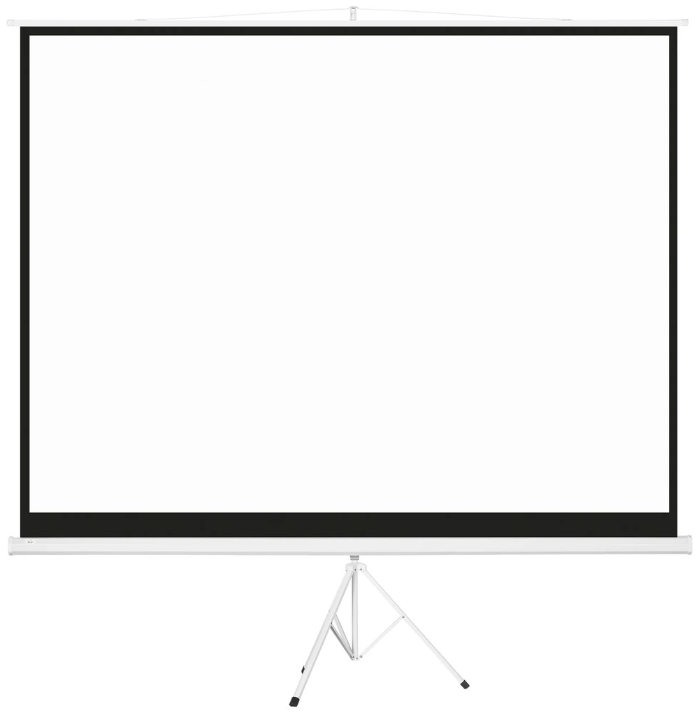 HOMCOM Tela Projeção Manual 120" 4:3 Suporte Ajustável 244x183cm Branco Versátil | Aosom Portugal