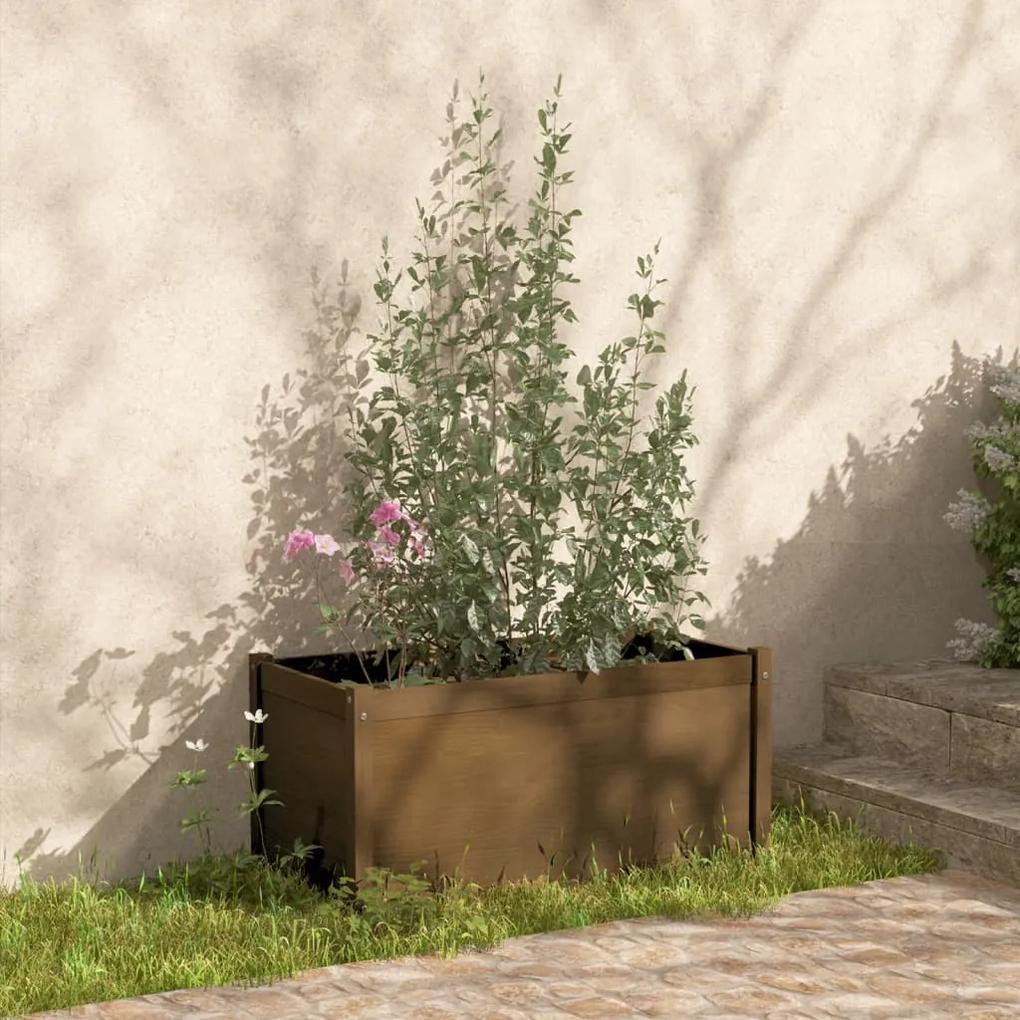 810730 vidaXL Vaso/floreira de jardim 100x50x50 cm pinho maciço castanho-mel