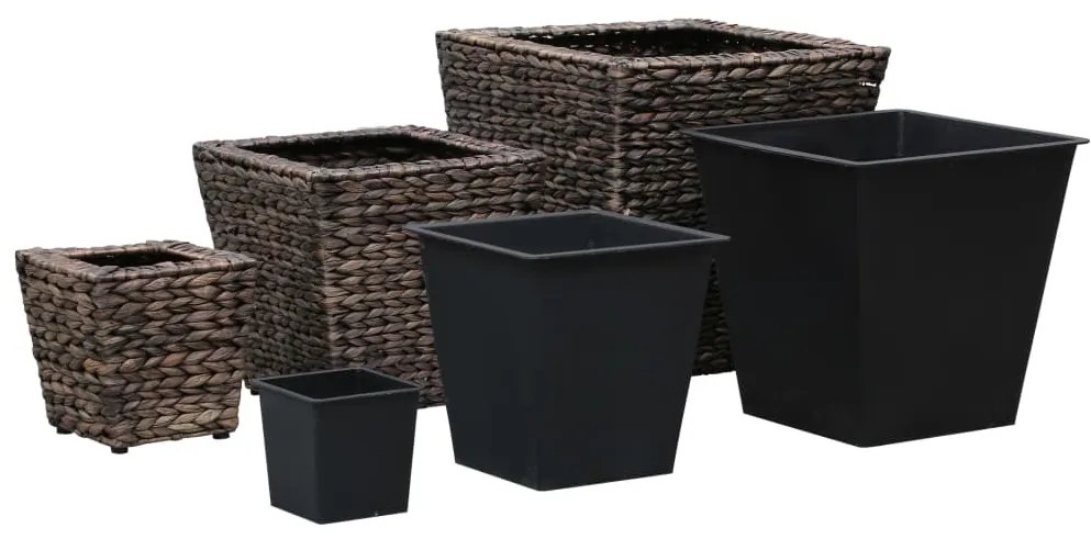 Vasos/floreiras 3 pcs jacinto de água castanho