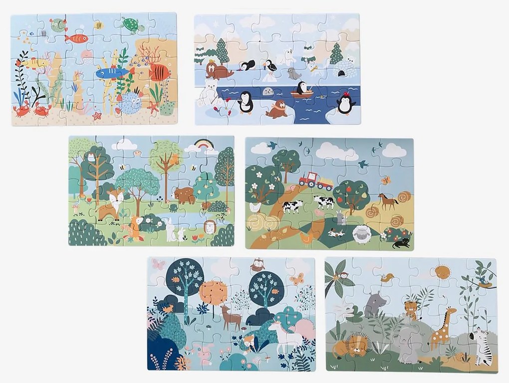 Conjunto de 6 puzzles magnéticos multicolor