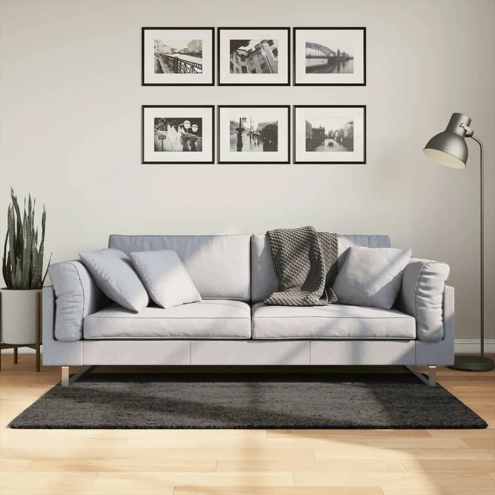 Tapete de pelo alto aspeto brilhante HUARTE 80x150 cm antracite